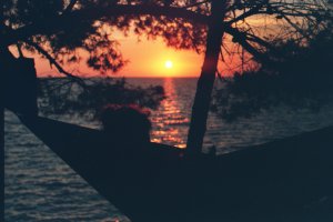 LEAD Technologies Inc. V1.01