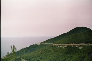 LEAD Technologies Inc. V1.01